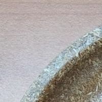 Rice Husk Disposables