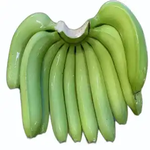 Green Cavendish Banana – Premium Export Quality from India